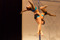 SM-Poledance-2014-15